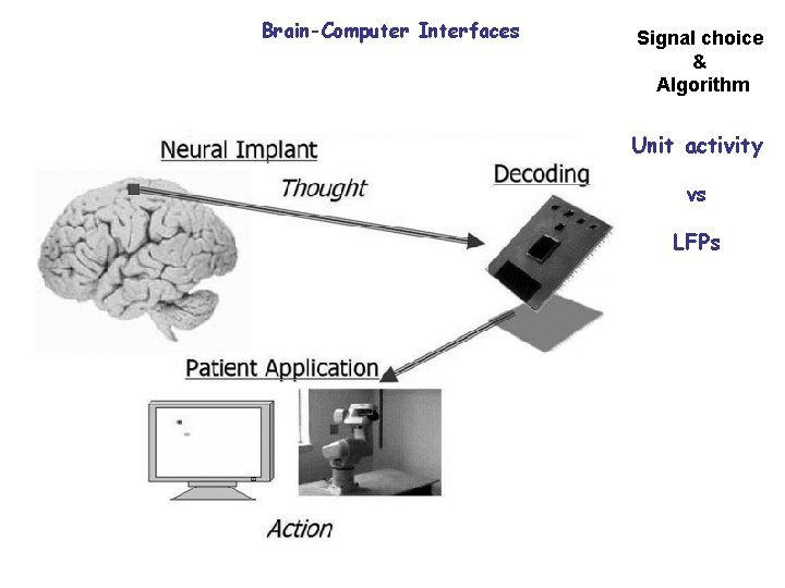 Brain-Computer Interfaces Signal choice & Algorithm Unit activity vs LFPs 