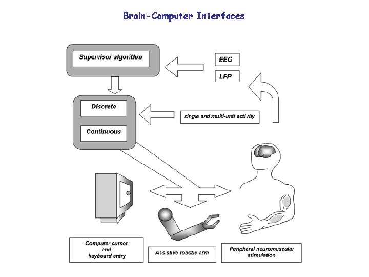Brain-Computer Interfaces 