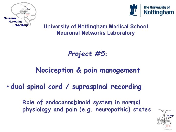 Neuronal Networks Laboratory University of Nottingham Medical School Neuronal Networks Laboratory Project #5: Nociception