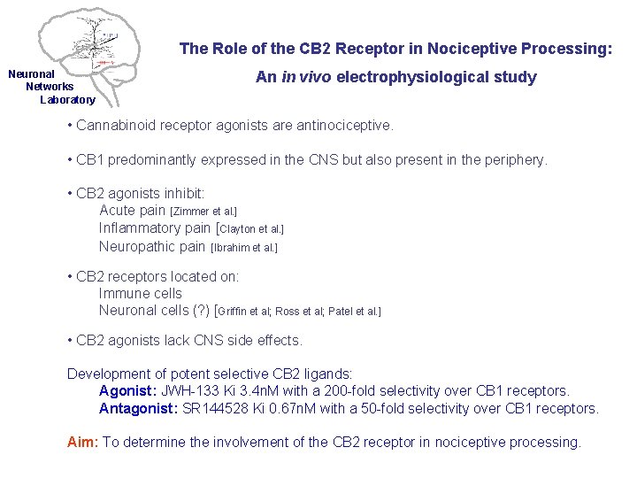 The Role of the CB 2 Receptor in Nociceptive Processing: Neuronal Networks Laboratory An