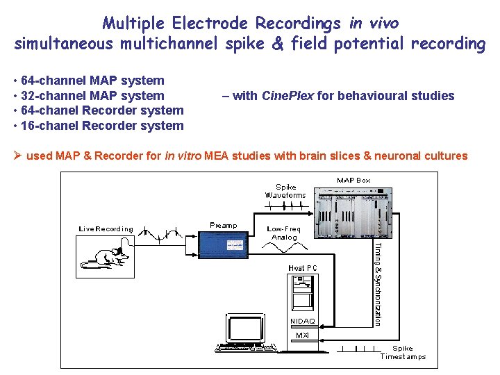 Multiple Electrode Recordings in vivo simultaneous multichannel spike & field potential recording • 64