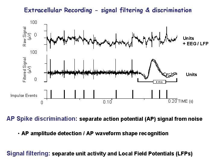 Extracellular Recording - signal filtering & discrimination Raw Signal ( V) 100 0 Units