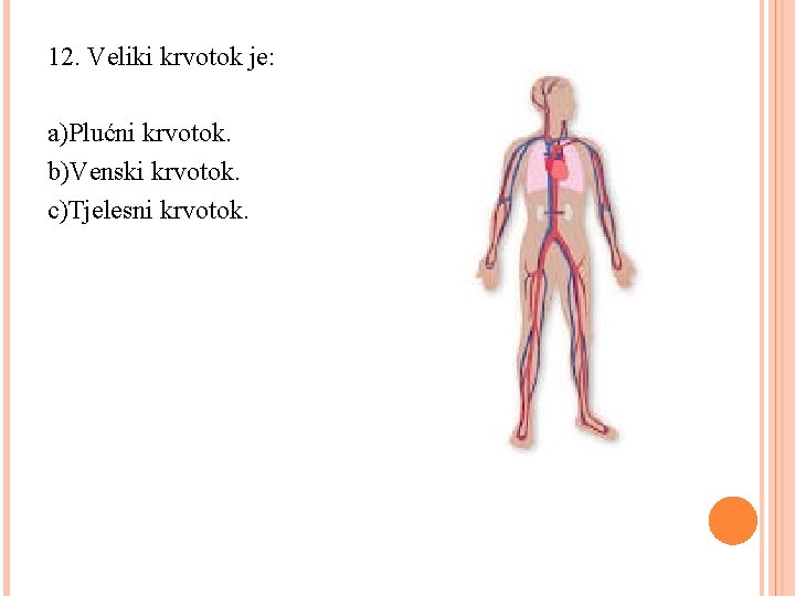 12. Veliki krvotok je: a)Plućni krvotok. b)Venski krvotok. c)Tjelesni krvotok. 