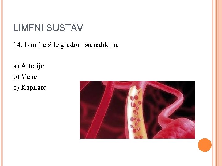 LIMFNI SUSTAV 14. Limfne žile građom su nalik na: a) Arterije b) Vene c)