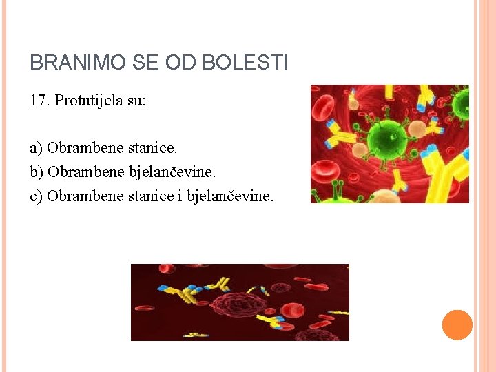 BRANIMO SE OD BOLESTI 17. Protutijela su: a) Obrambene stanice. b) Obrambene bjelančevine. c)