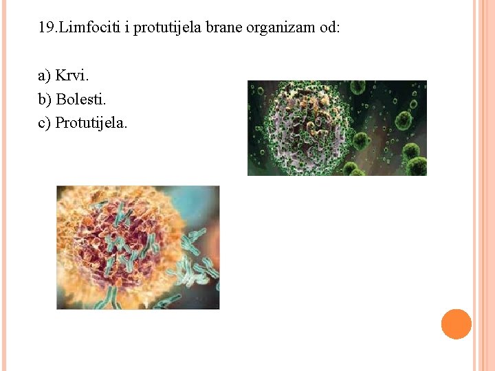 19. Limfociti i protutijela brane organizam od: a) Krvi. b) Bolesti. c) Protutijela. 