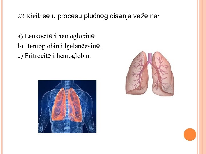 22. Kisik se u procesu plućnog disanja veže na: a) Leukocite i hemoglobine. b)