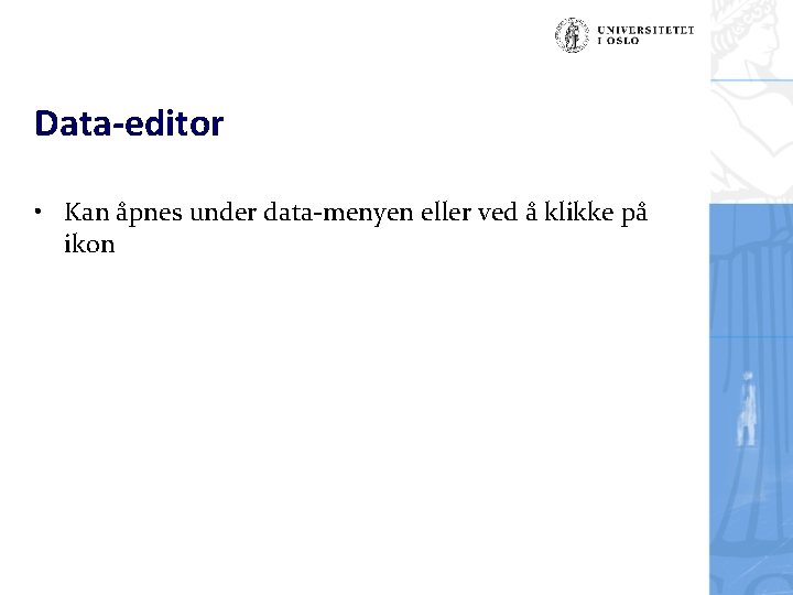 Data-editor • Kan åpnes under data-menyen eller ved å klikke på ikon 