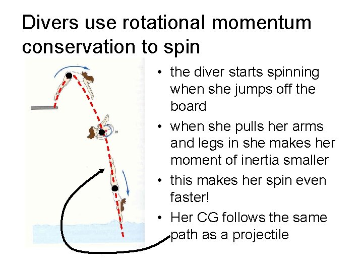 Divers use rotational momentum conservation to spin • the diver starts spinning when she