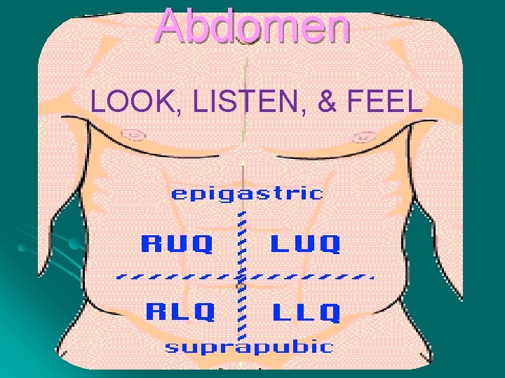 Abdomen LOOK, LISTEN, & FEEL 