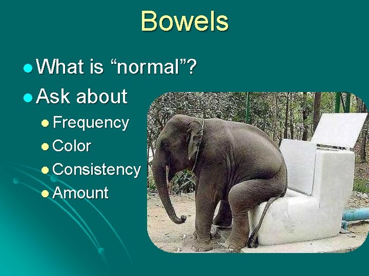 Bowels l What is “normal”? l Ask about l Frequency l Color l Consistency