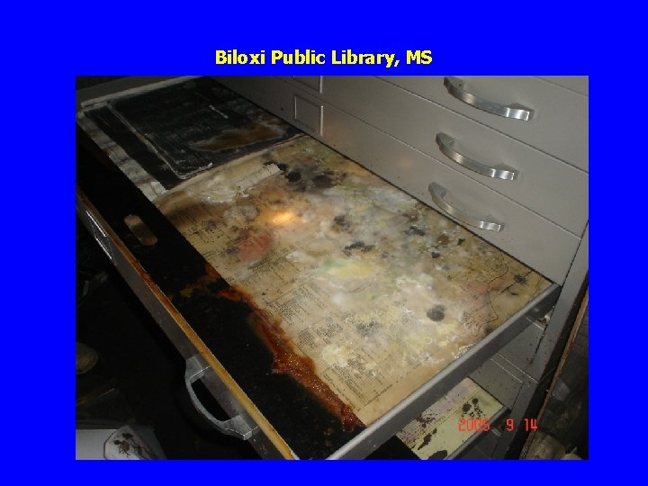 Biloxi Public Library, MS 