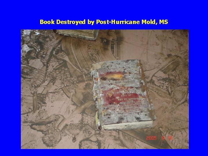 Book Destroyed by Post-Hurricane Mold, MS 