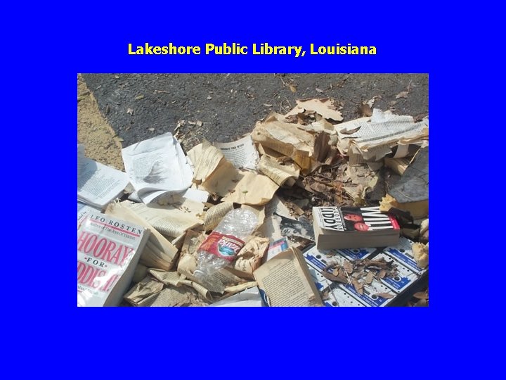 Lakeshore Public Library, Louisiana 
