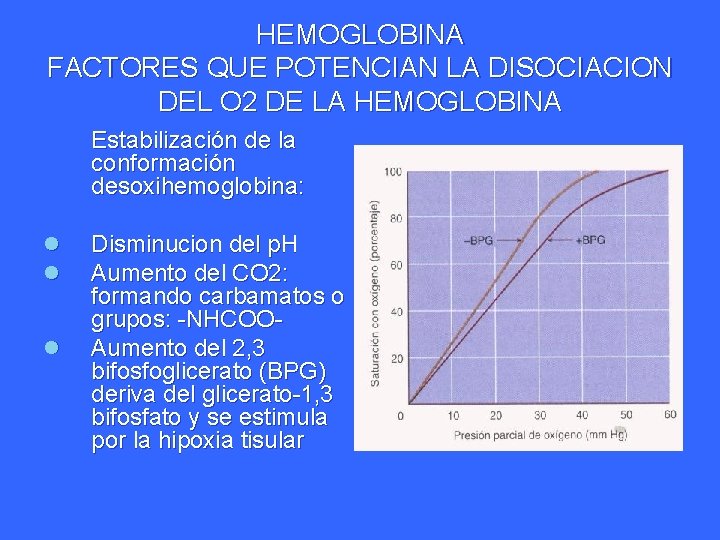 HEMOGLOBINA FACTORES QUE POTENCIAN LA DISOCIACION DEL O 2 DE LA HEMOGLOBINA Estabilización de