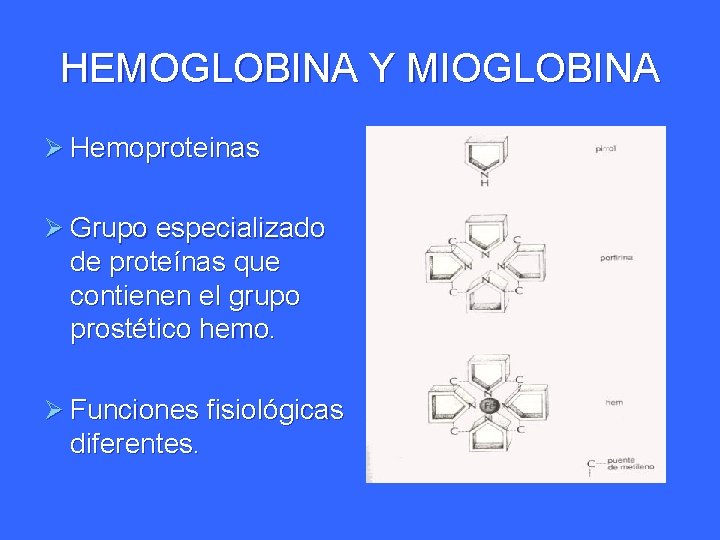 HEMOGLOBINA Y MIOGLOBINA Ø Hemoproteinas Ø Grupo especializado de proteínas que contienen el grupo
