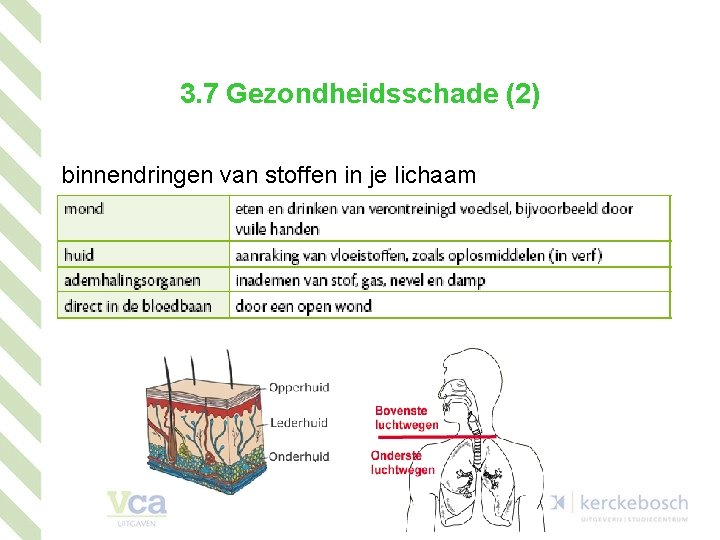 3. 7 Gezondheidsschade (2) binnendringen van stoffen in je lichaam 