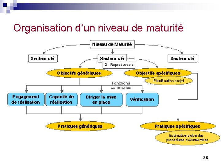 Organisation d’un niveau de maturité 25 