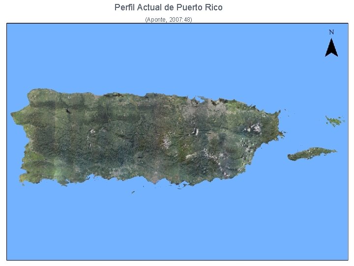Puertode Rico actual Perfil Actual Puerto Rico (Aponte, 2007: 48) 