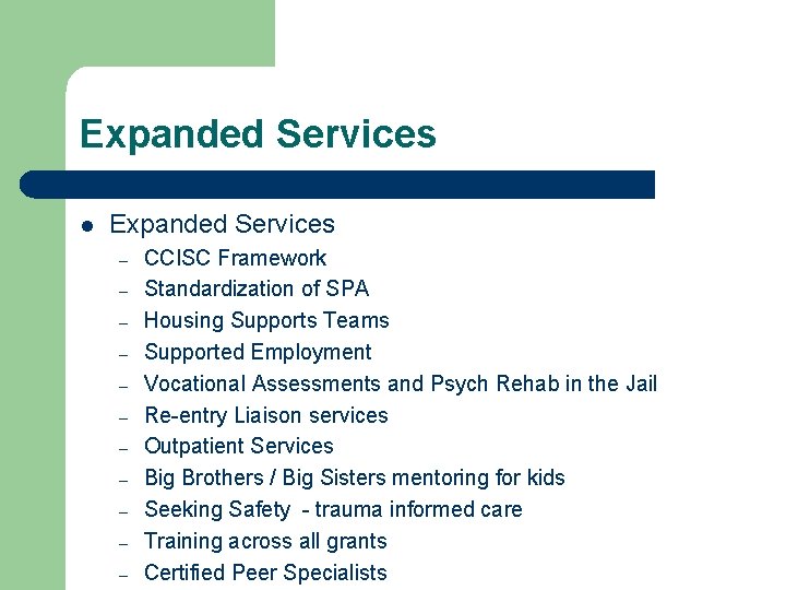 Expanded Services l Expanded Services – – – CCISC Framework Standardization of SPA Housing