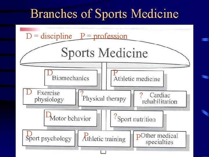 Branches of Sports Medicine D = discipline P = profession D D D P