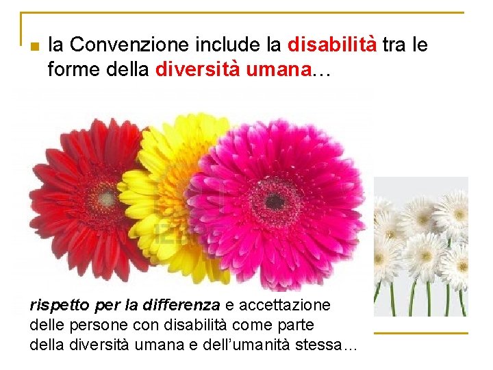 n la Convenzione include la disabilità tra le forme della diversità umana… rispetto per