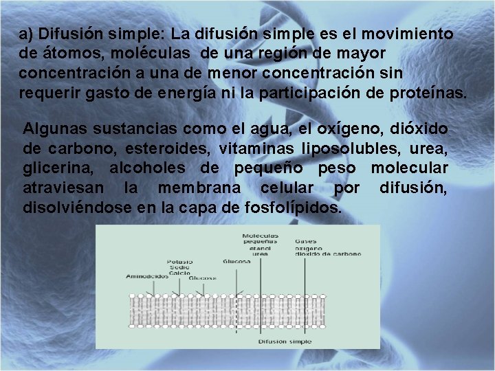 a) Difusión simple: La difusión simple es el movimiento de átomos, moléculas de una