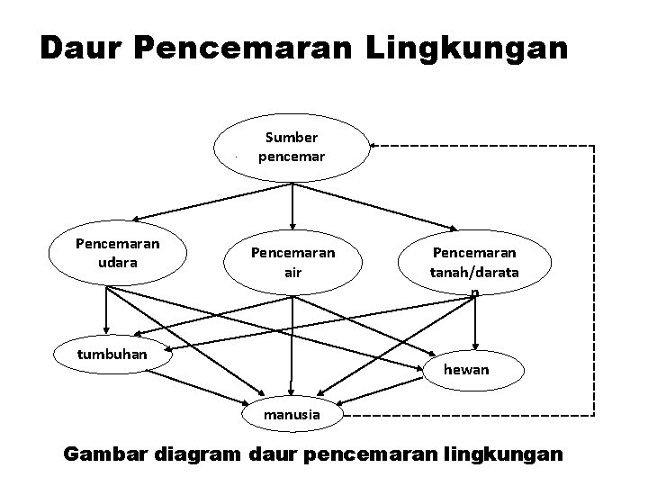 Daur Pencemaran Lingkungan Sumber pencemar Pencemaran udara Pencemaran air tumbuhan Pencemaran tanah/darata n hewan