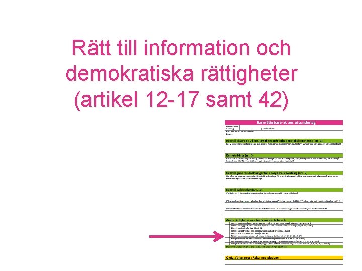 Rätt till information och demokratiska rättigheter (artikel 12 -17 samt 42) 