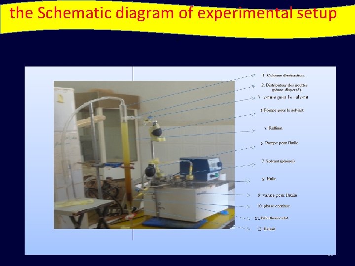 the Schematic diagram of experimental setup. 23 