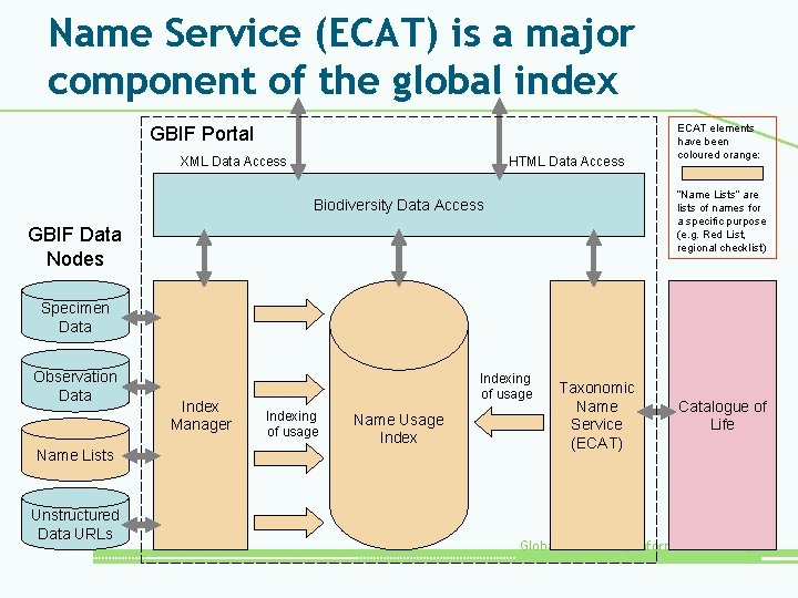 Name Service (ECAT) is a major component of the global index GBIF Portal XML