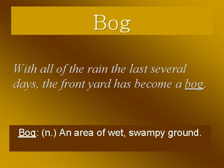 Bog With all of the rain the last several days, the front yard has