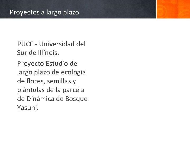 Proyectos a largo plazo PUCE - Universidad del Sur de Illinois. Proyecto Estudio de