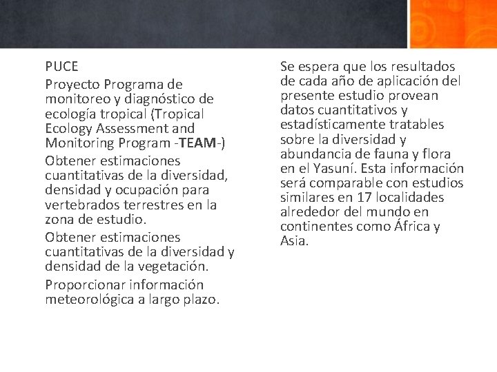 PUCE Proyecto Programa de monitoreo y diagnóstico de ecología tropical (Tropical Ecology Assessment and