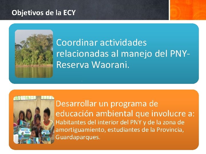 Objetivos de la ECY Coordinar actividades relacionadas al manejo del PNYReserva Waorani. Desarrollar un