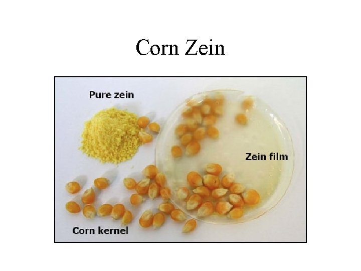 Plant Metabolism Photosynthesis The Most Important Equation in