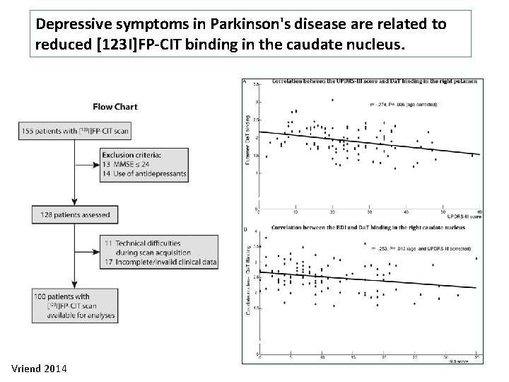 Depressive symptoms in Parkinson's disease are related to reduced [123 I]FP-CIT binding in the