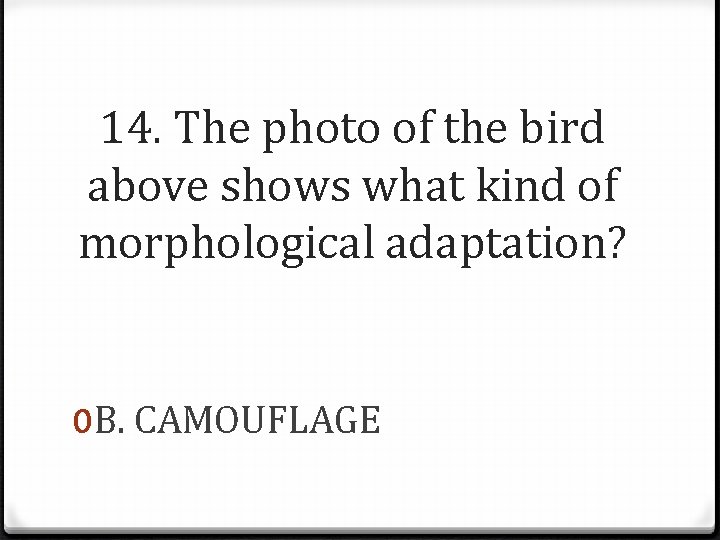 14. The photo of the bird above shows what kind of morphological adaptation? 0