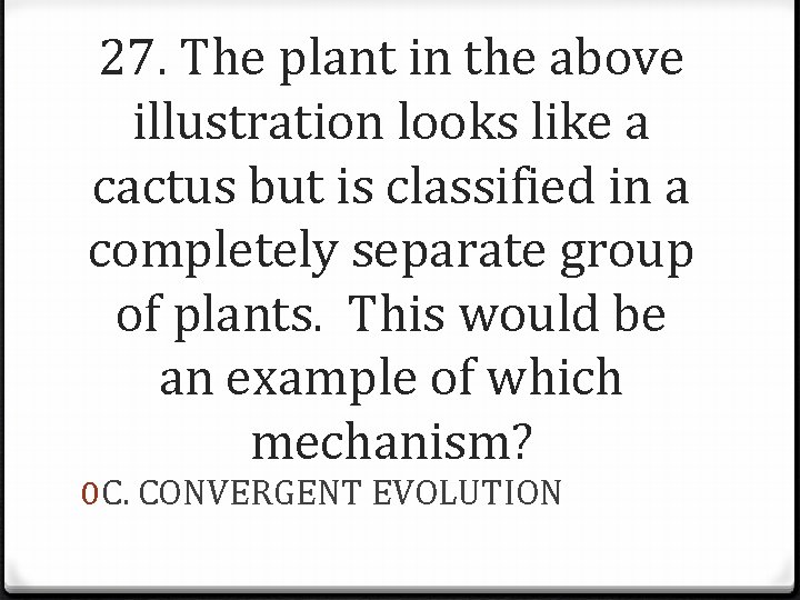 27. The plant in the above illustration looks like a cactus but is classified