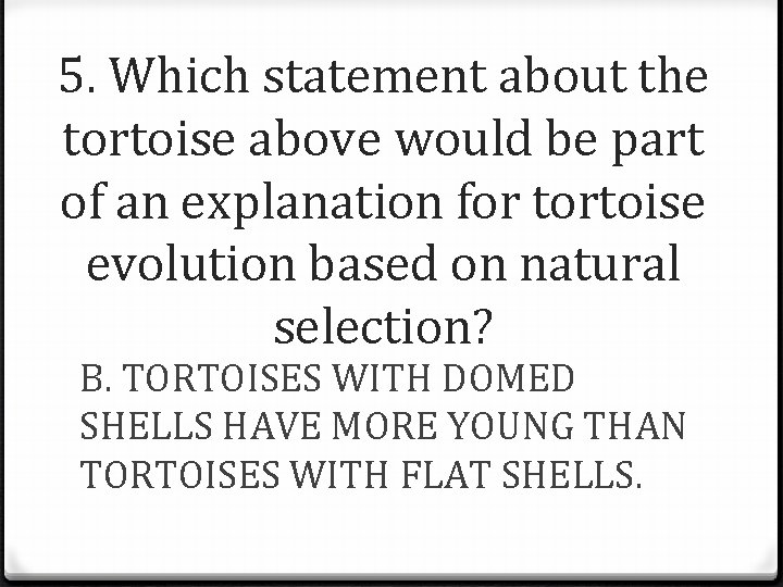 5. Which statement about the tortoise above would be part of an explanation for