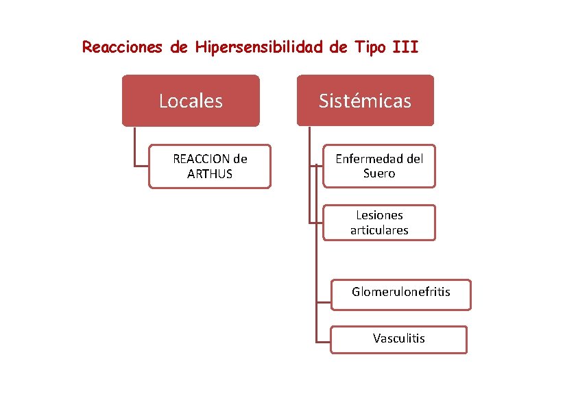 Reacciones de Hipersensibilidad de Tipo III Locales REACCION de ARTHUS Sistémicas Enfermedad del Suero