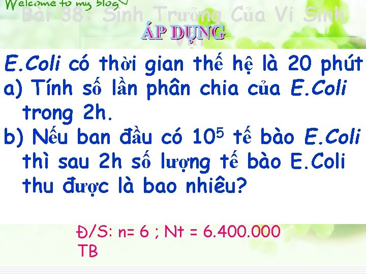 Bài 38: Sinh Trưởng Của Vi Sinh Vật E. Coli có thời gian thế