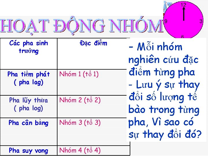 Các pha sinh trưởng Đặc điểm Pha tiềm phát ( pha lag) Nhóm 1