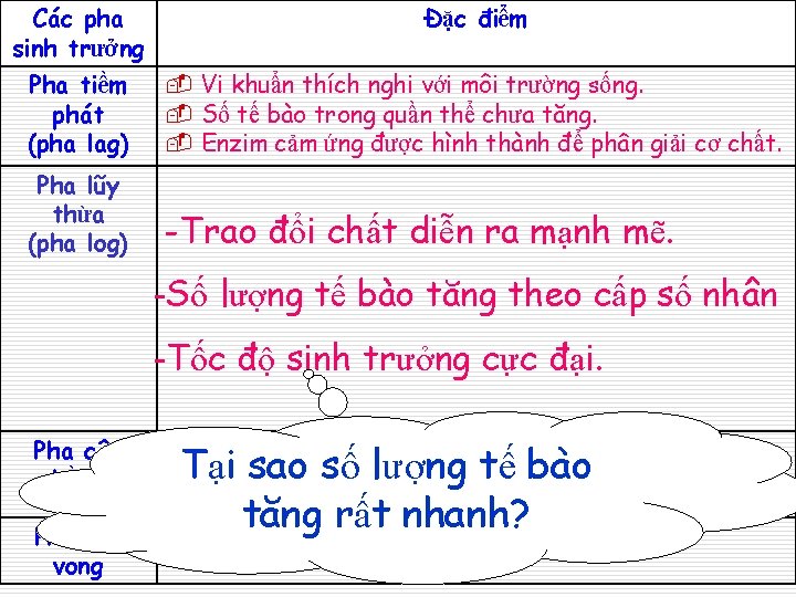Các pha sinh trưởng Đặc điểm Pha tiềm phát (pha lag) - Vi khuẩn