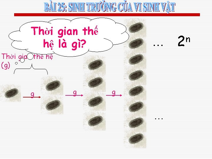 Thời gian thế hệ là gì? … Thời gian thế hệ (g) g g