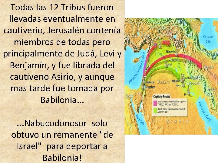 Todas las 12 Tribus fueron llevadas eventualmente en cautiverio, Jerusalén contenía miembros de todas