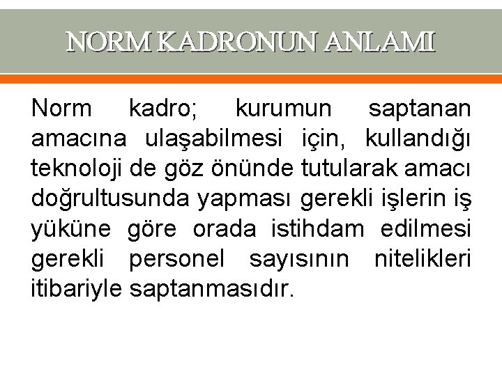 NORM KADRONUN ANLAMI Norm kadro; kurumun saptanan amacına ulaşabilmesi için, kullandığı teknoloji de göz