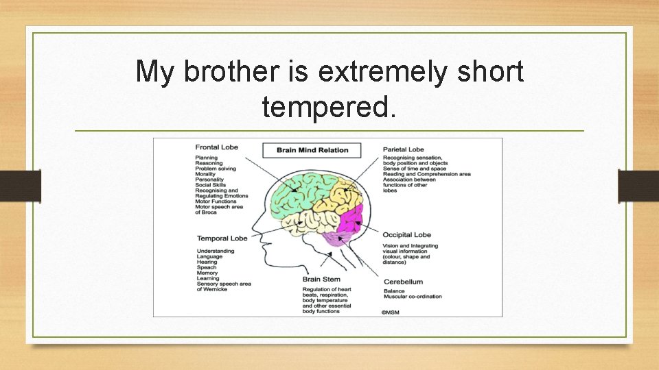 My brother is extremely short tempered. 