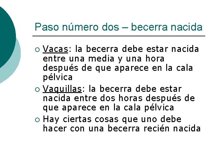 Paso número dos – becerra nacida Vacas: la becerra debe estar nacida entre una