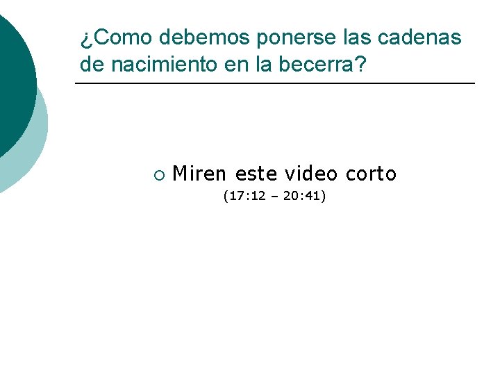 ¿Como debemos ponerse las cadenas de nacimiento en la becerra? ¡ Miren este video